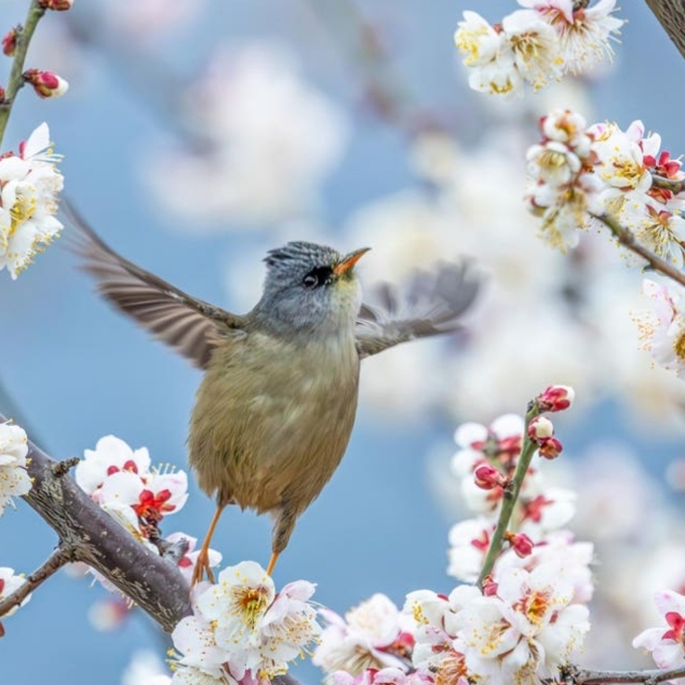 Spring Sale!